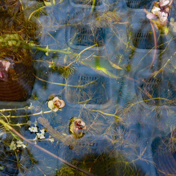Lydia Julien and Cally Trench, 'One o'clock on Monday' 37