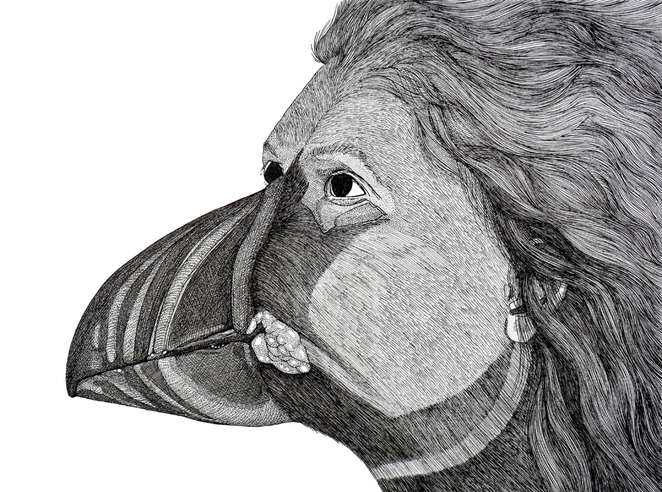 Cally Trench: Metamorphosis (Puffin)