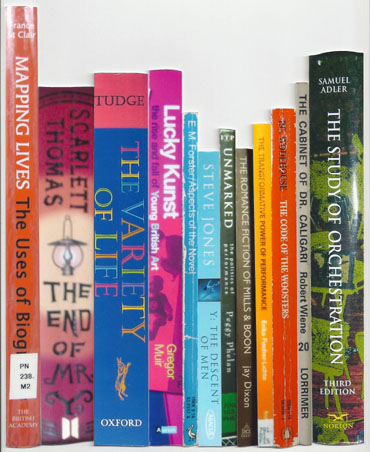 Remarkable Bookshelf by Cally Trench