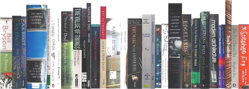 Remarkable Bookshelf 2 by Cally Trench