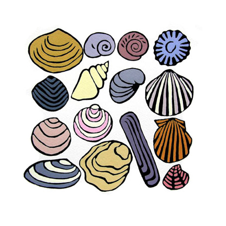 Shells
