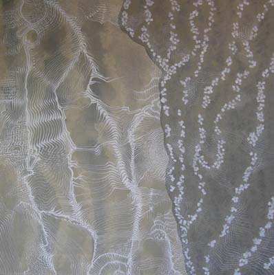 Wavelet