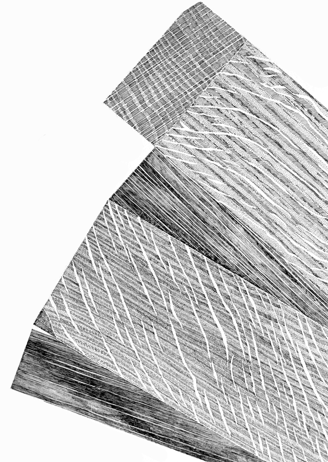 A Net of a Wedge